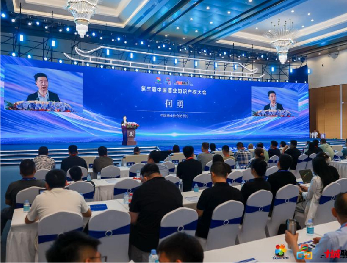 知识产权大会